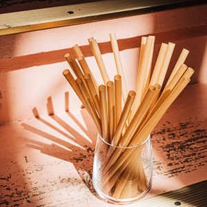 Eco-friendly Biodegradable Sugarcane <b>Disposable</b> Straight Straws 210mm - Product Image 3