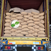 Nuez Moscada Cruda Seca de Indonesia Sin Cáscara, Tamaño 25 kg, 250 Unidades, de Sulawesi