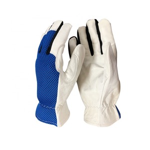 Gants d'équitation pour enfants adultes Gants équestres durables et confortables Fonction écran tactile Violet Noir Tailles S X pour femmes En Hiver - Product Image 1