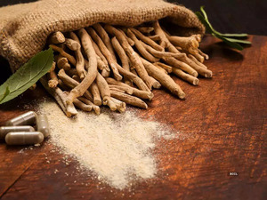 Ashwagandha en poudre 100% pure et naturelle, adaptogène, haute puissance, supplément bien-être certifié biologique Terra Bio Naturals - Product Image 4