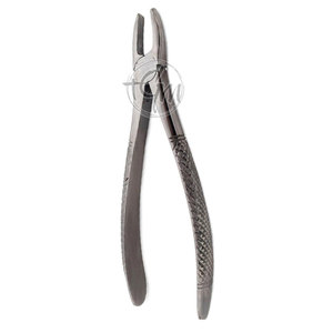 Pinzas de Extracción de Acero Inoxidable, Instrumento Profesional para Extracción Dental, Equipo de Cirugía Dental - Product Image 4