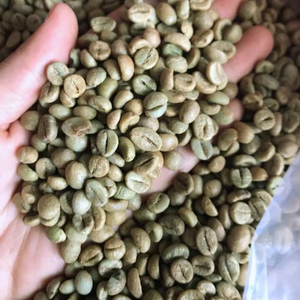 100% Natural Specialty Arabica Green <b>Coffee</b> <b>Beans</b> Size 18, USDA Certification, 0.1% Broken & Black only, Vietnam Direct Supplier - Product Image 1