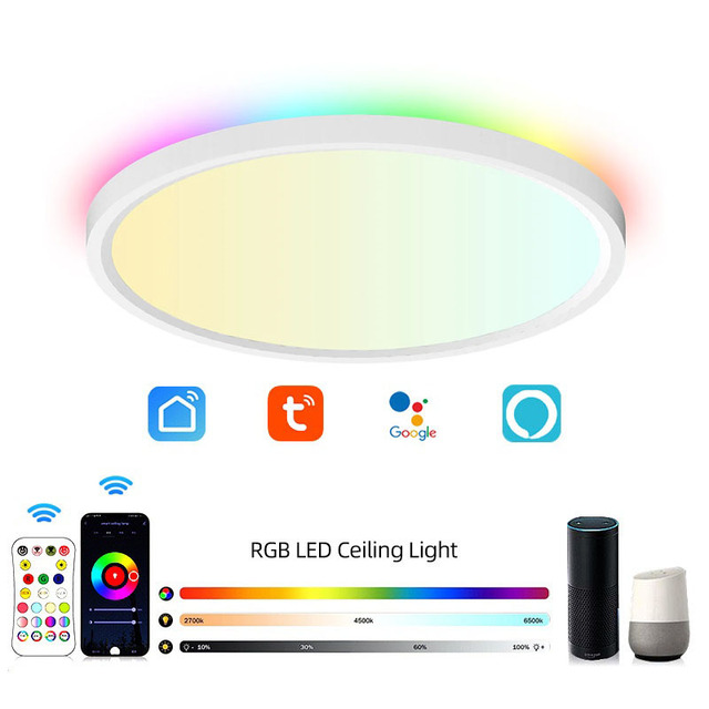 Reasonable Price New Fashion Design WiFi Bluetooth Zigbee RGB IC Smart Ceiling Light 24W Quality Warranty