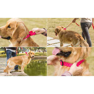 Suministros para mascotas, Collar de perro Martingale personalizado con hebilla, Collar básico de nailon para perro, accesorios de nailon para mascotas - Product Image 2