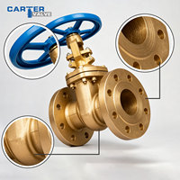 Vanne à opercule ANSI en nickel-aluminium-bronze (NAB), Vanne à opercule API 600 OS&Y à brides en bronze d'aluminium classe 150 pour service marin eau de mer