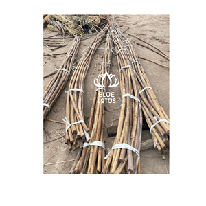 OFERTA ESPECIAL Varillas de Ratán Natural, Material Ecológico para Muebles y Artesanías Tejidas a Mano - Product Image 1