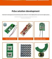 Merrillchip - Placa de Control PLC de Desarrollo Integrado con Microcomputadora Personalizada, Circuito MCPCBA, Software y Hardware de Programación PCBA