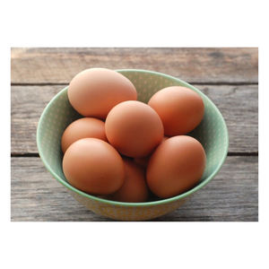 Huevos de gallina marrones al por mayor, fuente natural de proteína para uso comercial en alimentos. - Product Image 6
