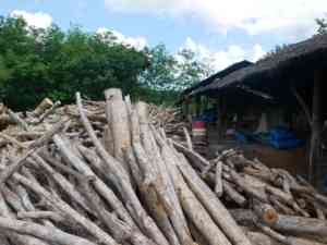 High Quality Indonesian Charcoal Halaban Lump Hardwood for BBQ | Long <b>Burning</b> Low Ash 7000-8000 Kcal/kg CARSURIN Lab-Test - Product Image 5