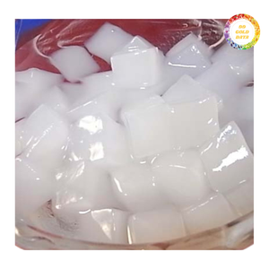 วุ้นมะพร้าว นาตา เดอ โคโค่ สำหรับชานมไข่มุก สมูทตี้ โยเกิร์ต ของหวาน วัตถุดิบสำหรับทำเครื่องดื่ม ผู้จัดจำหน่ายสำหรับอุตสาหกรรมเครื่องดื่ม - Product Image 1