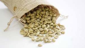 เมล็ดกาแฟโรบัสต้าออร์แกนิกแบบเม็ด ขนาด 18 ผลิตในเวียดนาม คุณภาพสูง ส่งออกโดยตรง ความเสียหายต่ำ - Product Image 1