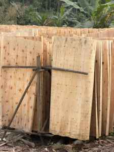 Chapa de Eucalipto 100% Natural de Alta Calidad, Ecológica y Duradera, Corte Rotatorio, 1270x640mm, para Tableros de Muebles - Product Image 2