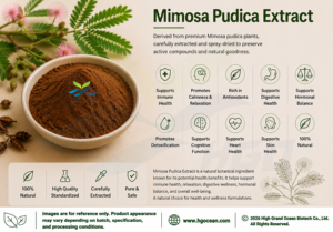 Suministro Directo de Fábrica HGO de Extracto Puro y Natural de Mimosa Pudica, Grado Alimenticio, Especificaciones 5:1, 10:1, 20:1 - Product Image 3