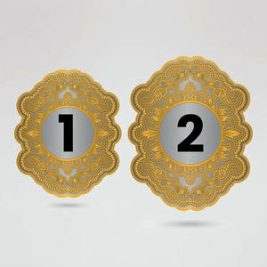 Ceinture de championnat en métal personnalisée avec plaque dorée, quatre plaques latérales de 2 mm/4 mm d'épaisseur, équipement de lutte, ceinture de récompense personnalisée - Product Image 3