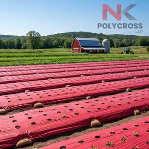 Toile agricole écologique et biologique pour une culture durable, toile agricole biologique pour le contrôle des adventices et la rétention de l'humidité - Product Image 5