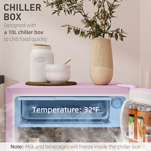 Mini Frigo 12V con Congelatore 3.2 Cu.Ft, Porta Singola, Termostato Regolabile, Porta Reversibile, Rosa, per Ufficio - Product Image 5