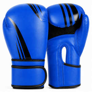 Équipement de boxe de haute qualité - Product Image 4