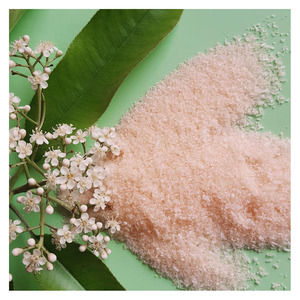 Engrais NPK pour les acheteurs en gros, produit nutritif de qualité supérieure pour les secteurs agricole et agroalimentaire. - Product Image 5