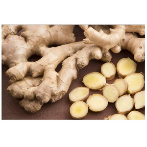 Racine de gingembre frais de la ferme, récolte de qualité supérieure, ingrédient naturel pour usage culinaire, distribution en gros et exportation - Product Image 2
