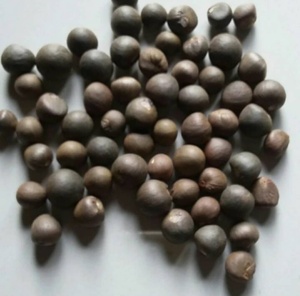 Aceite de Semilla de Loto Negro para el Cuidado de la Piel y el Crecimiento del Cabello, Prensado en Frío, Orgánico, Rico en Ácido Oleico y Escualeno, Marca TZ879DTH, Modelo CREK1122 - Product Image 2