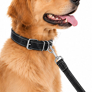 Ensemble collier et laisse pour chien en cuir avec motif uni, boucle en métal réglable et respirante avec anneau en D et boucle facile à saisir - Product Image 6