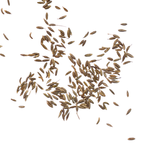 เมล็ดยี่หร่าอบแห้ง ขายส่งราคาถูก ธรรมชาติ ไม่ผ่านการปรุงแต่ง สมุนไพรเดี่ยว แบบดิบ 20 กก./กล่อง เวียดนาม ชนิดเม็ด ยี่ห้อ VKAUS สีน้ำตาลอ่อน - Product Image 3