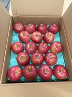 Vaardig gekweekte, fantastische kwaliteit rode appels uit Japan, gele, knapperige textuur, groen, dicht vlees, geïmporteerd vers fruit.