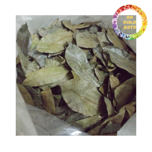 High Quality Dried Soursop Leaves for Herbal <b>Tea</b> Graviola Leaves Bulk Export Supply - Product Image 6