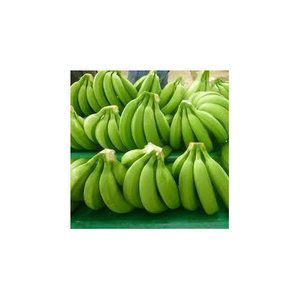 Bananes Cavendish vertes fraîches, qualité supérieure, qualité export, fruits tropicaux, taille longue, directement de la ferme - Product Image 1