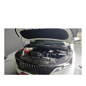 Para Kia Carnival Noblesse de 9 Plazas, Modelo Abril 2021, 57.350 km, Combustible Diésel, Caja de Cambios Automática, Emisión Euro V, Volante a la Izquierda - Product Image 6