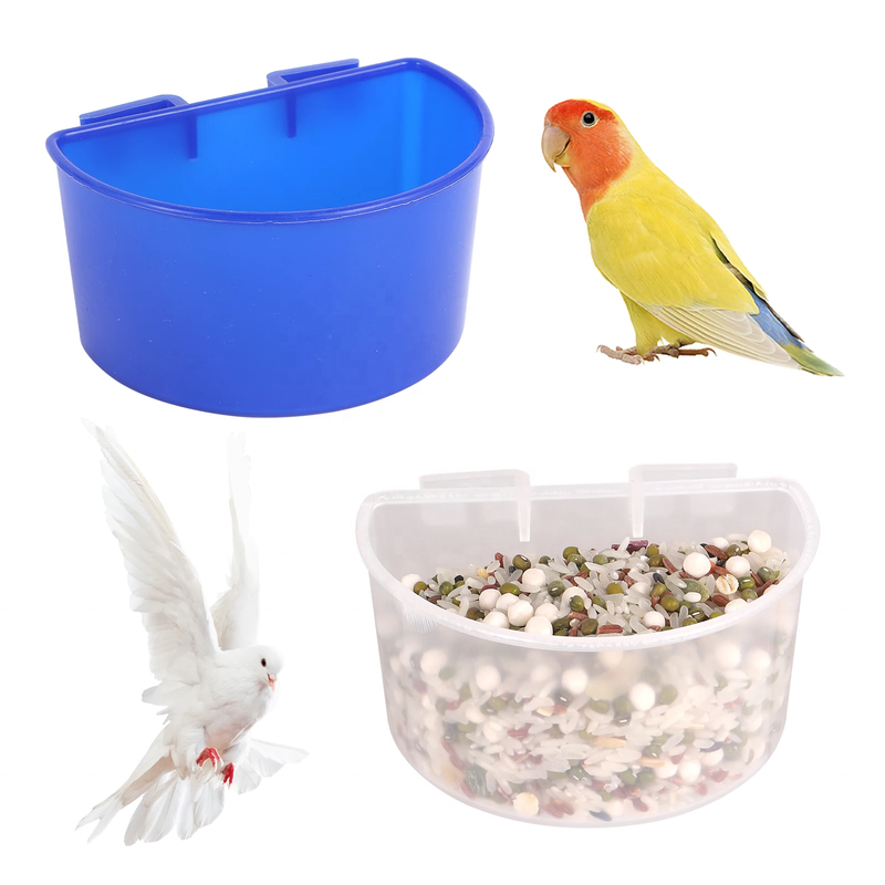 Poultry Quail Pigeon Chicken Animal Feeder