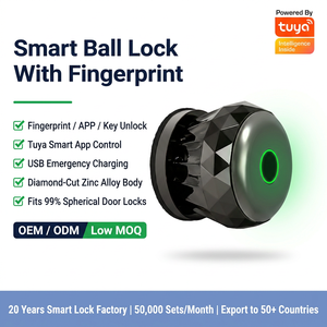 <span class=keywords><strong>Serrure</strong></span> à bille numérique étanche avec empreinte digitale pour <span class=keywords><strong>porte</strong></span> en bois, poignée intelligente biométrique au design moderne en diamant, prend en charge la carte IC et le code d'accès - Product Image 1