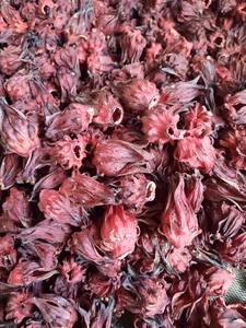 Flor de Hibisco Seca de Primera Calidad de Fábrica Vietnamita para Té de Hierbas, Exportación a Granel - Product Image 4