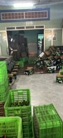 Vietnam Export Kwaliteit Pitloze Citroenen Heldergele Schone Huid Sappige Pulp Perfect Voor Sappen Koken En Wereldwijde Consumenten