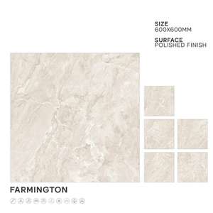 Vistaar Brand 2x2 Export Quality 60x60cm Polished 600x600 Dyna Grey Glossy Porcelain Floor Tiles High Quality Made in India - Product Image 6