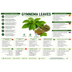 Polvo de Gurmar de Alta Calidad Ampliamente Utilizado en la Industria Herbal para la Extracción de Fabricantes, Proveniente de Hojas de Calidad - Product Image 2