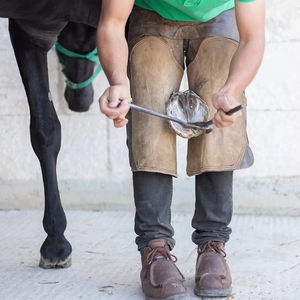 Testeur de sabots en acier inoxydable de haute qualité pour chevaux - Taille 13 pouces, instruments vétérinaires autoclavables, fabricant - Product Image 6