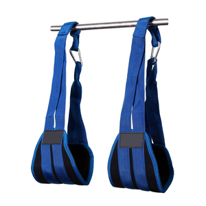 Commercial Gym Weightlifting Ab Straps for Core Workout Hanging Leg Raise Training Equipment with Padded Arm Support Design - Product Image 1
