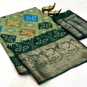 Sari de seda moderno Soft Crus Dola con bordado Jequrd elaborado, hermoso pallu y blusa a juego para fiesta - Product Image 1