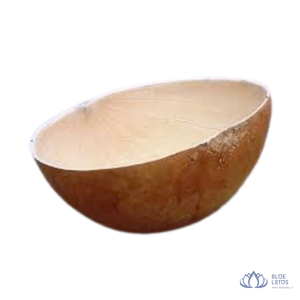 [MEJOR VENTA] |   Tazón de calabaza ecológico, tazón de calabaza seca para uso culinario, vajilla, plato para servir de Vietnam - Product Image 1