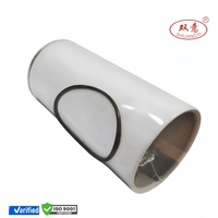 Suministro de Fábrica: Elemento de Filtro de Combustible R90-D-PAR-01 R90-D-RCR-01 R90-MER-01 S3211 SFC-5030-2 SFC530110 para Motor Diésel