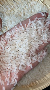 Arroz Jazmín de Vietnam 5% de Grano Partido - Arroz Aromático Vilaconic de Alta Calidad - Listo para Venta Minorista - Product Image 6