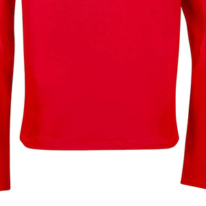 Veste en polaire rouge pour homme, fermeture éclair intégrale, col montant, coupe ajustée, coupe-vent, polyester, pour l'automne - Product Image 4