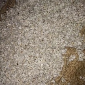 Graines de coton biologique de la meilleure qualité - Product Image 3