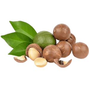 Nueces de Macadamia Blanqueadas Bluelotus Vietnam de Primera Calidad, Cáscaras Naturales, Granos Crujientes, 18 Meses de Duración, para Uso en Repostería, a Granel - Product Image 1