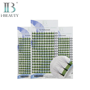 Extensions de cils i-BEAUTY - Cils volumineux ib Premium (6D) Cils individuels Corée Haute Qualité Faits à la Main Naturels Longs 3dlahs - Product Image 1