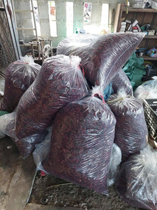 Fleur d'hibiscus séchée du Vietnam pour les thés antioxydants, les agents colorants rouges et les lignes de produits alimentaires biologiques / Mme Alina - Product Image 2