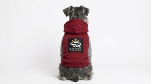 Sweat-shirts pour chiens de qualité supérieure avec tissu doux, coupe élégante, respirant, confortable et chaud pour les promenades quotidiennes, les jeux et les aventures en plein air - Product Image 2