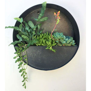 Jardinière murale ronde moderne en métal galvanisé, pot suspendu pour plantes succulentes et herbes, vase mural en fer pour décoration intérieure et extérieure - Product Image 1