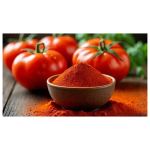 Poudre de tomate pure en vrac pour soupes instantanées, sauces et applications pour plats préparés - Product Image 2